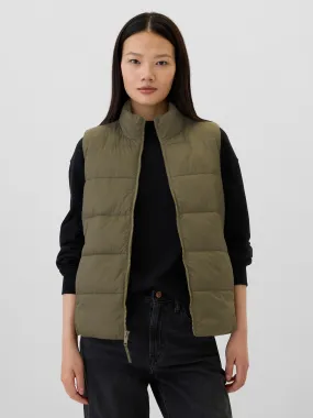 ColdControl Puffer Vest