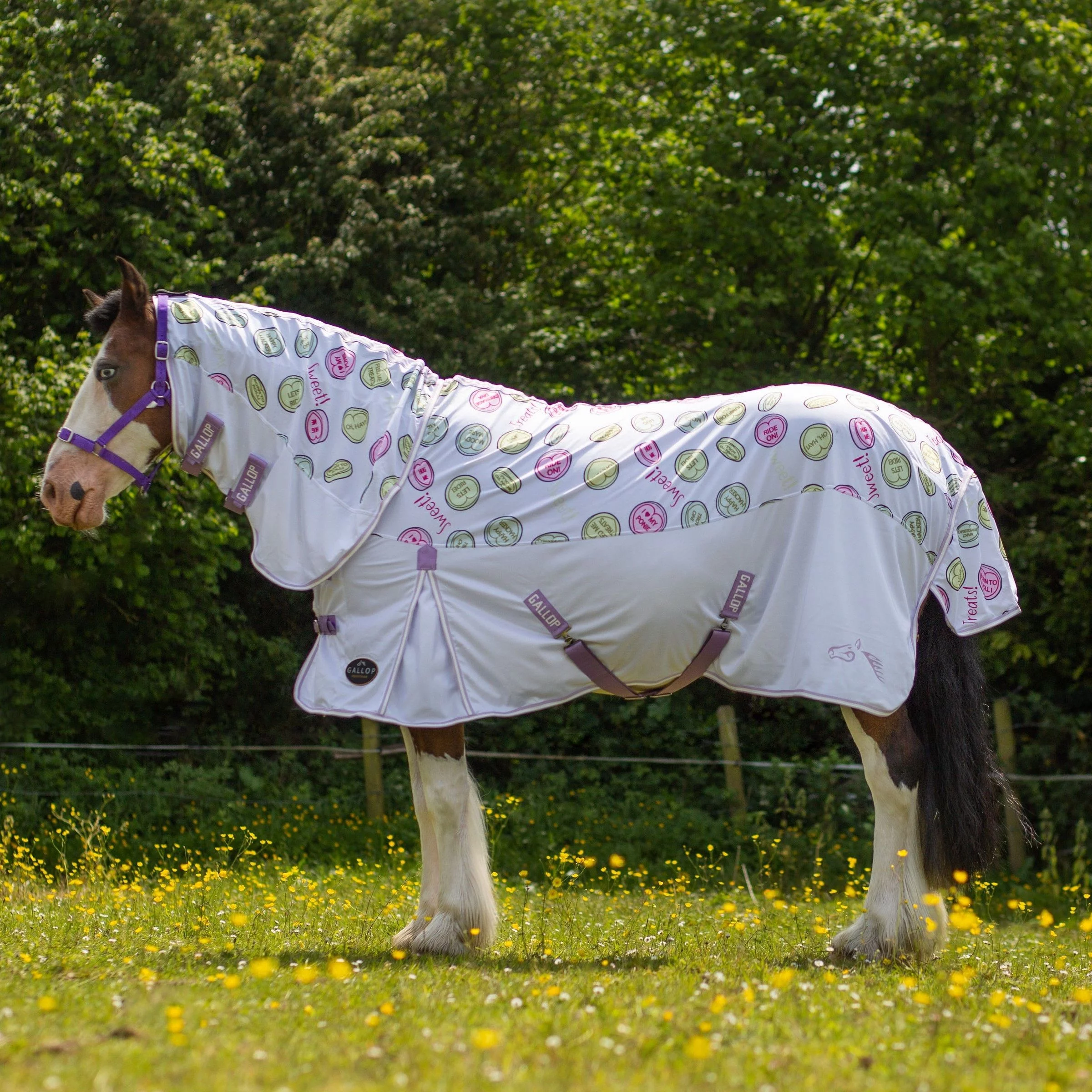 Gallop Sweet Treats Combo Fly Rug