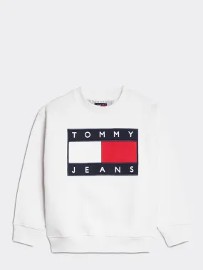 Kids 8-12 Flag Sweatshirt | Hoodies | Tommy Hilfiger